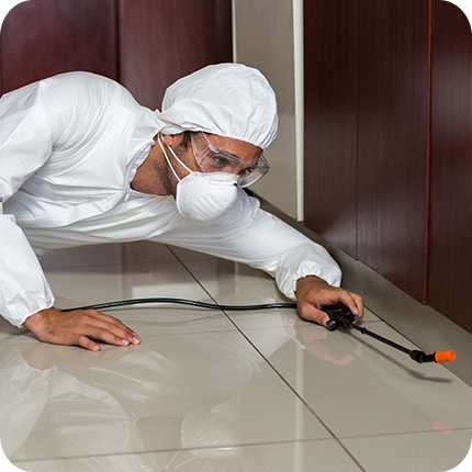 Benchmark Pest Control & Cleaning Services