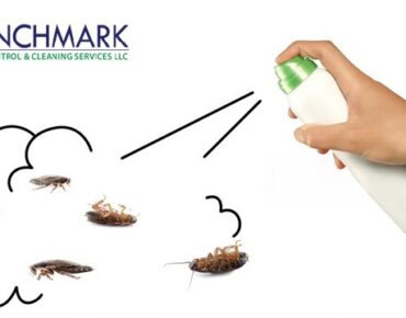 Cockroach Pest Control Service