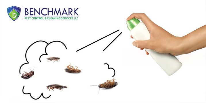 Cockroach Pest Control Why It Matters